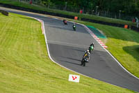 brands-hatch-photographs;brands-no-limits-trackday;cadwell-trackday-photographs;enduro-digital-images;event-digital-images;eventdigitalimages;no-limits-trackdays;peter-wileman-photography;racing-digital-images;trackday-digital-images;trackday-photos